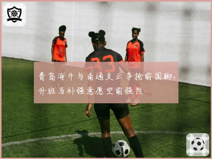 青岛海牛与南通支云争抢前国脚,升班马补强意愿空前强烈